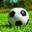 必一·运动(b-Sports)官方网站Logo